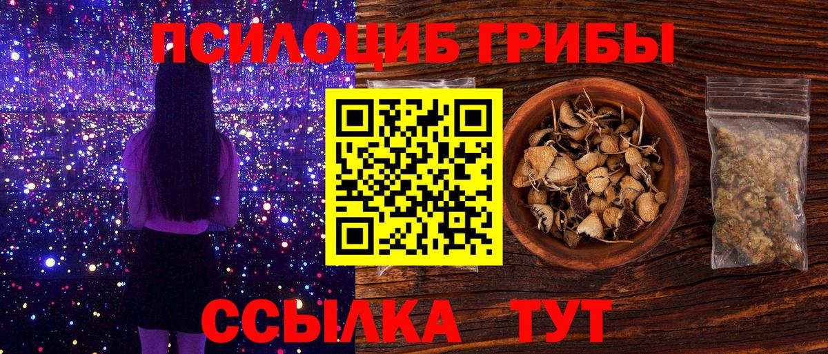 Галлюциногенные грибы Psilocybe Москва
